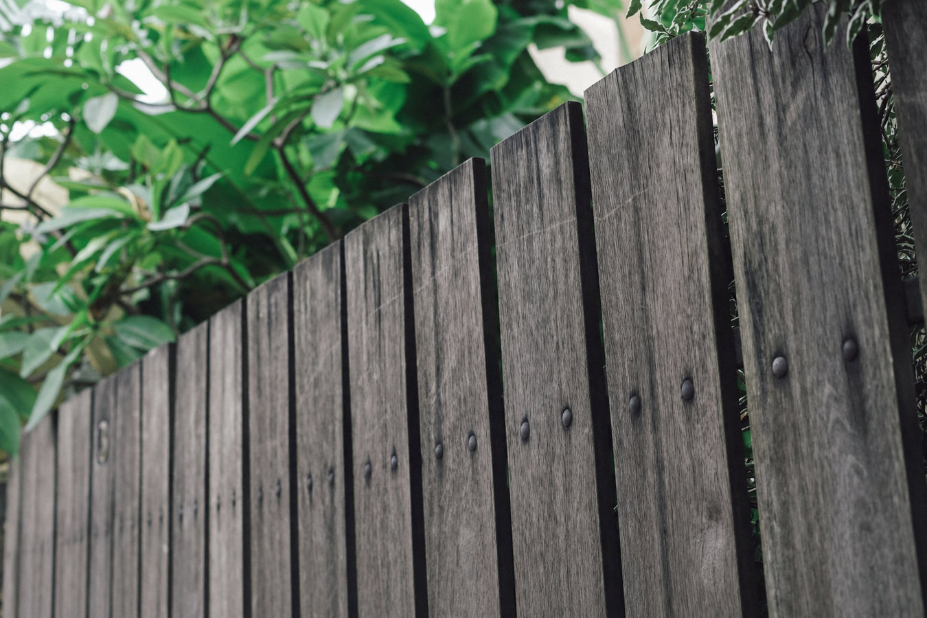 Fence replacement
